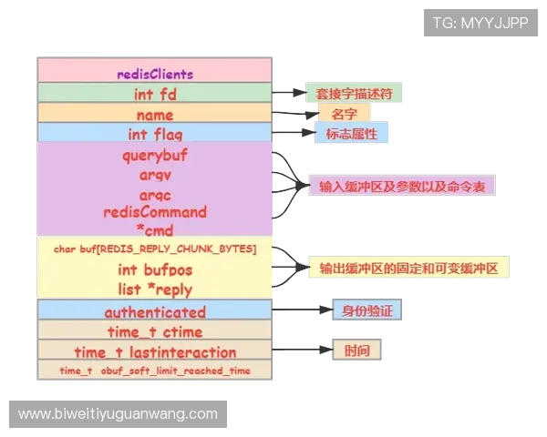 PA体育的用户评价与口碑分析，了解真实用户的使用感受与建议